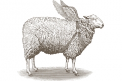 Sheep-art
