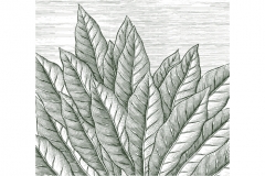 Tobacco-leaves-art