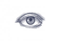 Eye-art