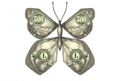 Financial_Butterfly