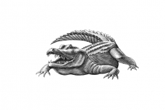 Alligator-Art