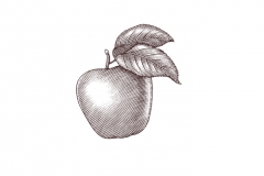 Apple-art