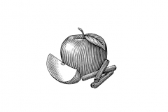 Apple_Cinnamon_001