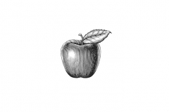 Apple_Icon