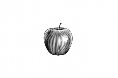 Apple_Spot