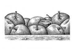 Apples-art