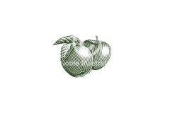 Apples_stock