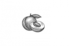 Apricot-art