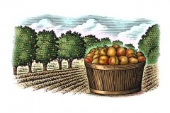 Apricot-orchard-art