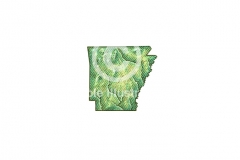 Arkansas-State-art-2