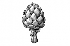 Artichoke-art