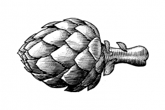 Artichoke_woodcut_2