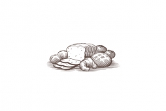 Baked-Breads