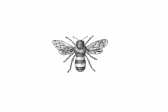 Bee-art-001