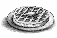 Belgian Waffle _001