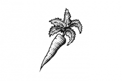 Carrot-art