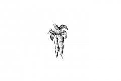 Carrots-art