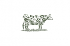 Cash-Cow-art