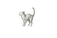 Cat-art