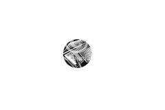 Checkbook-icon