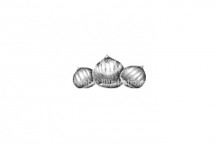 Chestnut_tree
