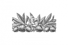 Chestnuts-Steven-Noble