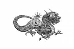 Chinese-Dragon