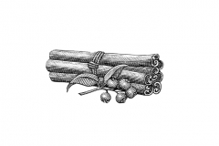 Cinnamon-Spice-art1