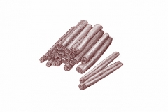 Cinnamon-Sticks-art