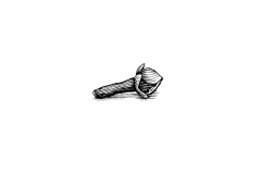 Clove-art
