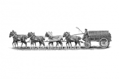 Clydesdale-Art-S-Noble