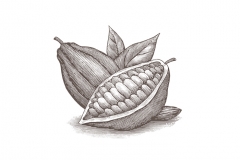 Cocoa-art