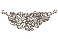 Coffee _amp_ Cocoa Beans