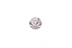 Conceptual_icon