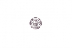 Conceptual_icon2