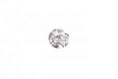 Conceptual_icon3