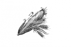 Corn-wheat-art
