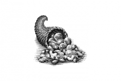 Cornucopia