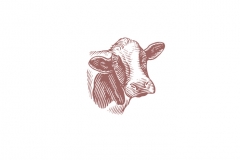 Cow-art-002