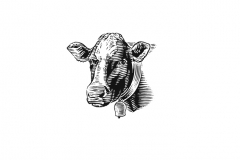Cow-head