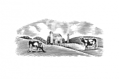 Cow_Pasture