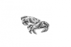 Crab-Art-S-Noble