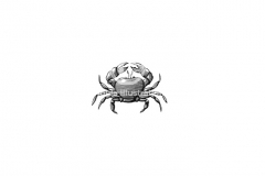 Crab
