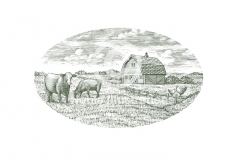 Dairy-Ranch