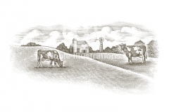 Dairy_Farm