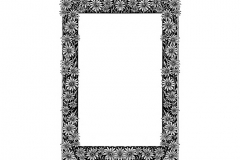 Daisy_Border