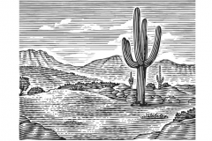 Desert Cactus