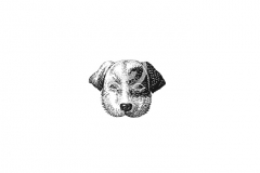 Dog-Art 2