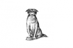 Dog-Art