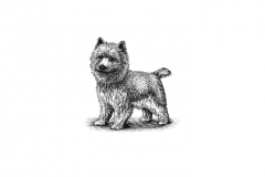 Dog-art-001